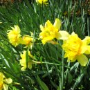 승창농장 이미지