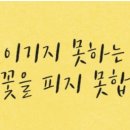 옥동태권도 이미지