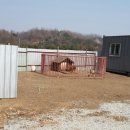 불독하우스 이미지