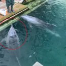 마린파크 이미지