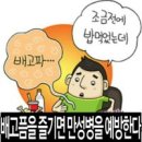 배고품을 즐겨라 이미지