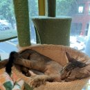 집사의하루 남포점 이미지