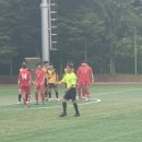 적성체육공원 축구장 이미지