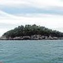 바래도 Daum백과
