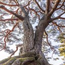 동례마을회관 이미지