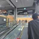 Y식자재마트 | [소래포구] 캠핑식자개 식료품가게 저렴한 이조 식자재마트