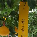 김용찬농장 이미지