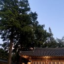낙원(樂源) | [강서 맛집] 부모님 생신 때 모시기 좋은 메이필드호텔 낙원(樂源)