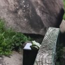 반딧불이민박 | 반딧불이를 보다-태어났으면 남해살이 3일차(24.05.24)