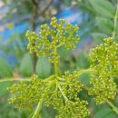 전정금농장 이미지