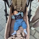 연년생 쌍둥이 유모차 2인용 웨건｜폼포라N2 1년 사용후기 장점 단점 가격 악세사리추천