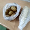 로뎀복지센터 이미지