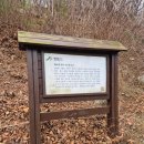 예씨네