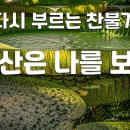 청산은 나를 보고 / 김무한 - 찬불가 이미지