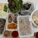 늘푸른 애견샵 이미지