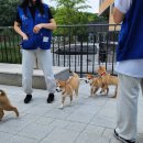 여울동물병원 이미지