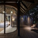 forest 이미지