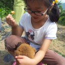 오봉농원 이미지