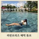 템브리즈 이미지