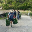 아놀드짐 이미지