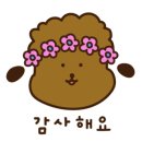 앤애견샵 네이버블로그