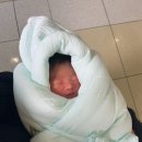 안양시청어린이집 | 안양 봄빛병원 연계 봄빛조리원2관 2주 후기 조리원라이프 기록🫶🏻 +모유수유