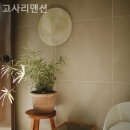 고사리맨션이 이미지