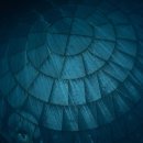 201 training box 이미지