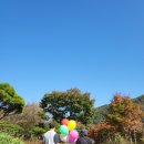 캐빈빌리지 펜션 이미지