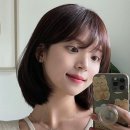 (유)보미 이미지