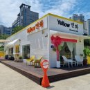 옐로우연화 이미지