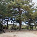 쭌카라반 캠핑장 이미지