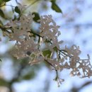 지산근린공원 이미지