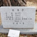 연산초교정문 이미지