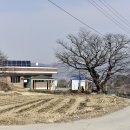 노암1리 행갈 이미지