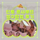 딘토 성수 팝업스토어, 르 샤 부뜨 팝업 방문 후기