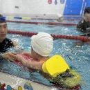 베스트어린이전용 수영장 이미지