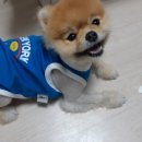 동글동글 이미지