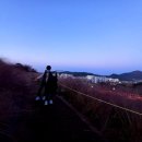 핑크놀이터