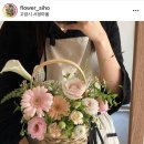플라워시호 이미지