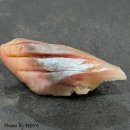 (주)보나비 아티제 서초점 | 쏘야의 일상 일기 - 마이럽 가을 잔뜩 낋여왔어요~!