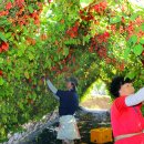 인제16-2 이미지