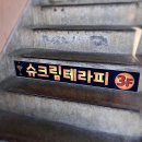 슈크림테라피
