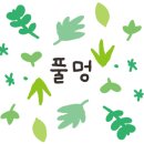 씨아트