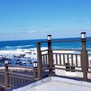 제주마중in판포 이미지