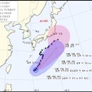 장산반딧불이 탐사의 응원 이미지