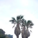 대륜동-3 이미지