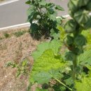 선한의원 이미지