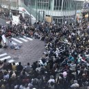 방방곡곡 [크로키키 브라더스] 이미지