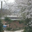 월출산방 이미지